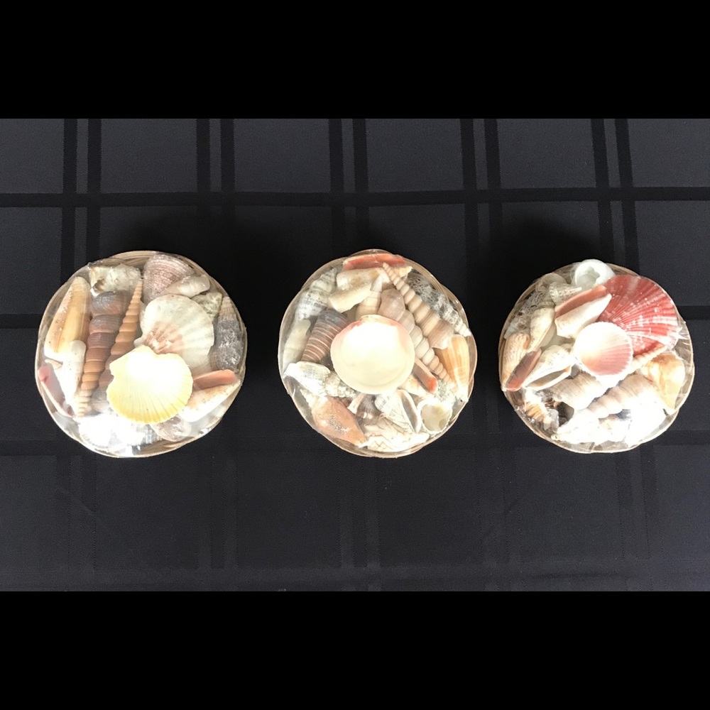 Sea shell baskets (assorted)